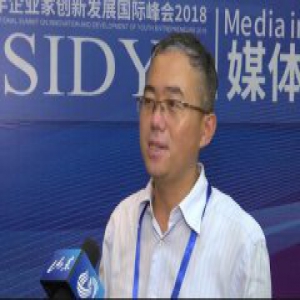 中国金融改革研究院院长刘胜军：传统工业必须要创新才能跟得上消费升级的脚步