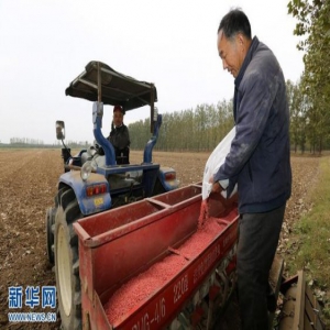 山东郯城：家庭农场秋播忙