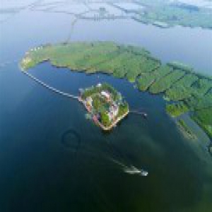 绿色成为神州大地发展底色！雄安新区定格绿色高端“新气质”