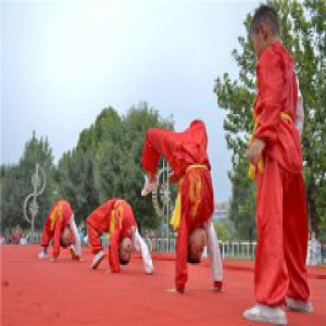 中华潭腿传统武术精英赛在临西县举行