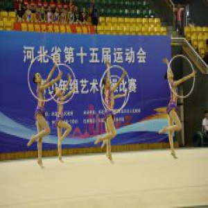 河北省运会艺术体操比赛落下帷幕 唐山代表队获团体总分第一