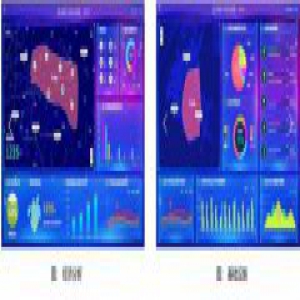 【Smartbi应用方案】小麦助力智慧城市
