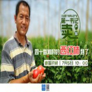 【直播预告】第一书记“卖”产品：四十亩滩村的西红柿熟了