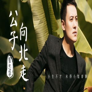 好声音崔忠华演绎《公子向北走》男声版 愿你得遇良人