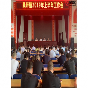 西峡县桑坪镇 召开2019年半年工作会议