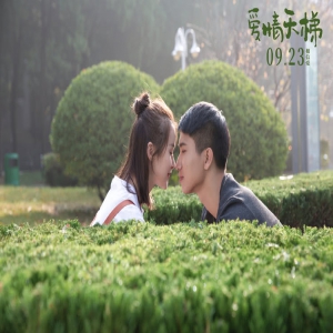 “情景交融新高度 励志爱情共滋养”电影《爱情天梯》热映中